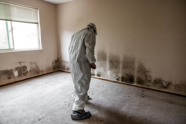 Best Residential Mold Inspection & Testing  in Moorestown Lenola, NJ